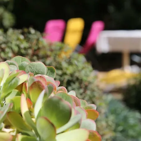 Botanica Apartment Vodice