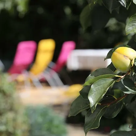 Botanica * Vodice